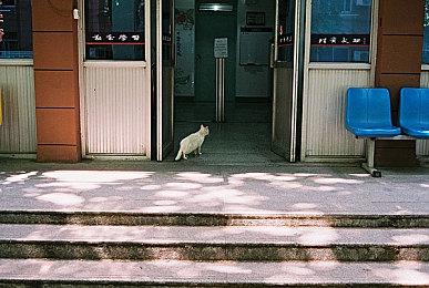 美少女动作肉鸽《战姬拉斯蒂尔》发布TGS预告